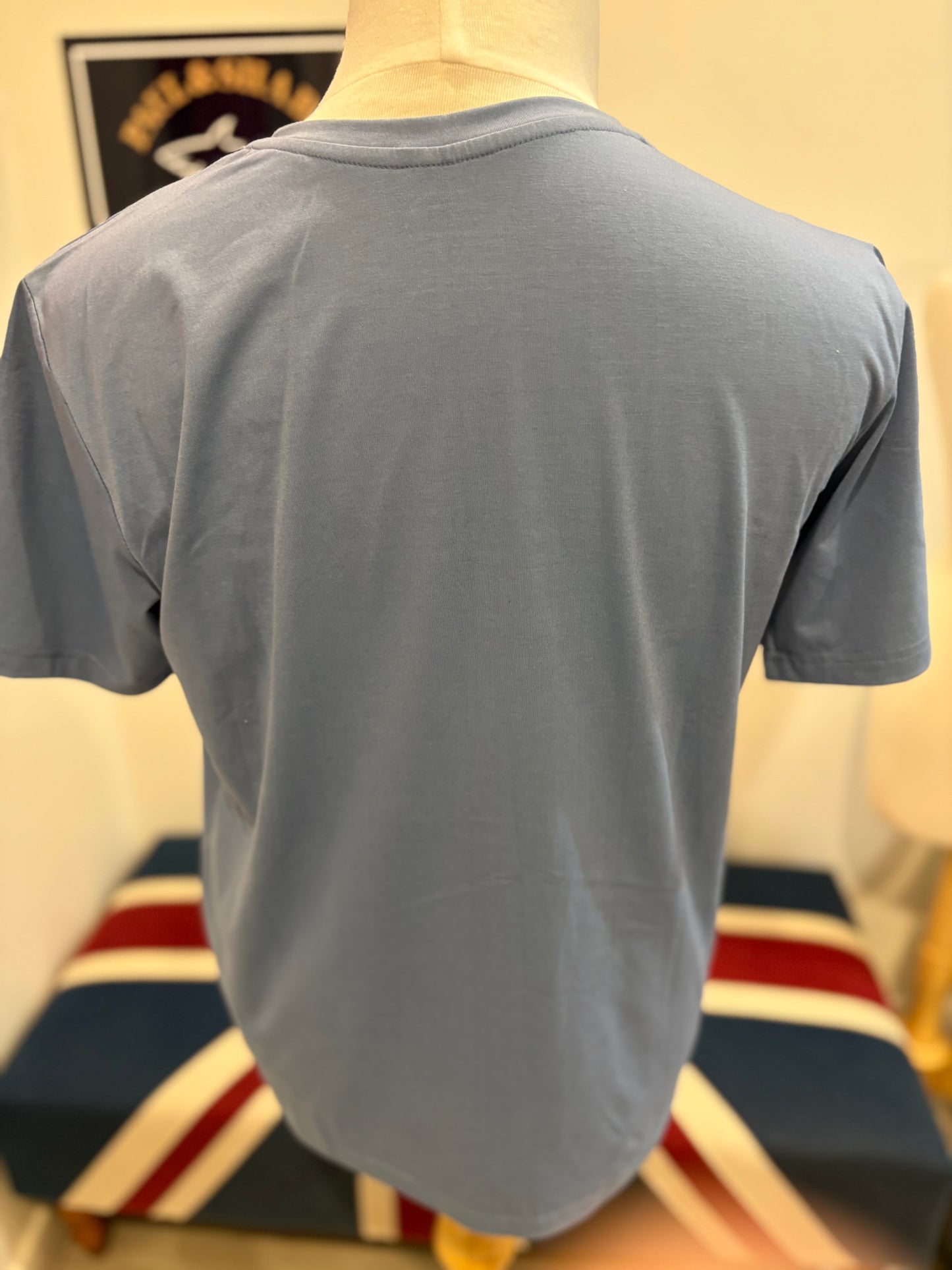 The North Face 100% Cotton Blue Chest Logo Tee