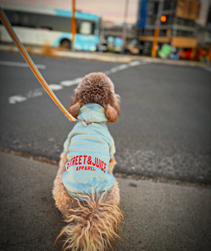 Street & Juice Puppy Hoodie for the Smaller Pooch