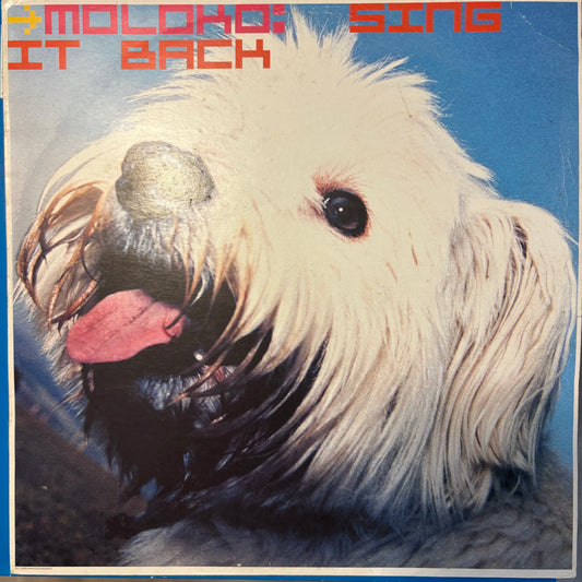 Moloko “Sing It Back” 2 Version 12inch vinyl record