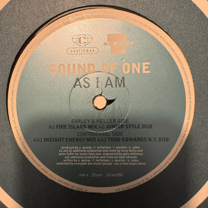 Sound of One “As I Am” 4 Version 12inch Vinyl record on Cooltempo