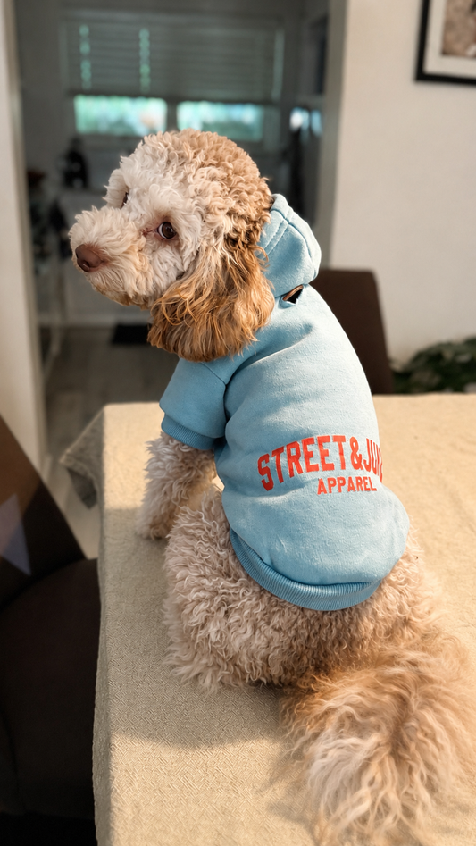 Street & Juice Puppy Hoodie for the Smaller Pooch