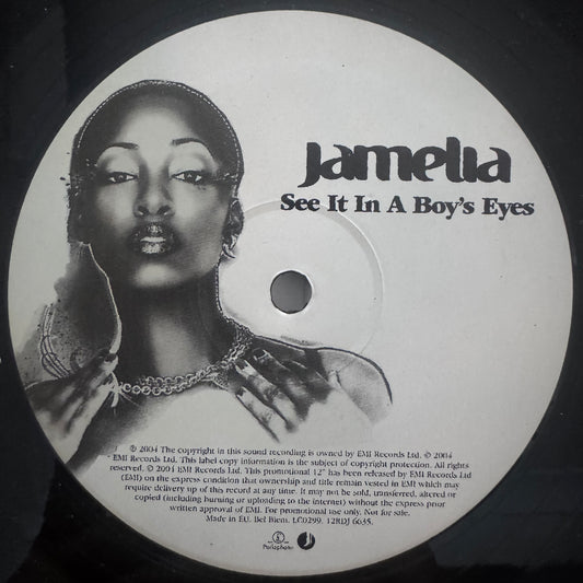 Jamelia “See It In A Boy’s Eyes” 2 Version 12inch vinyl record