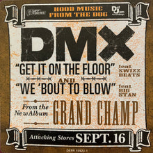 Load image into Gallery viewer, DMX Feat Swizz Beats “Get On The Floor” 12 Inch Vinyl