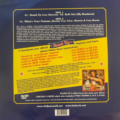 Ludacris “Stand Up” / “Roll Out ( My Business )” / “Whats Your Fantasy” 3 Track 12inch Vinyl
