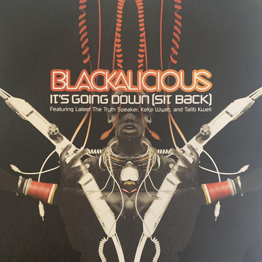 Blackalicious “It’s Going Down ( Sit Back )” 8 Version 12inch Vinyl