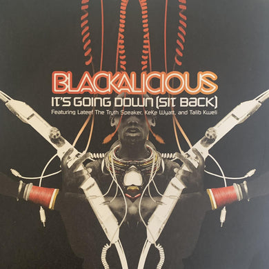 Blackalicious “It’s Going Down ( Sit Back )” 8 Version 12inch Vinyl