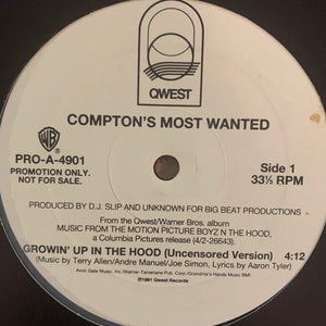 Comptons Most Wanted “Growin’ Up In The Hood” 2 Version 12inch Vinyl