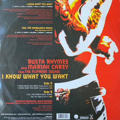 Busta Rhymes & Maria Carey Feat The Flipmode Squad “I Know What You Want” / “Call The Ambulance Remix” 3 Version 12inch Vinyl