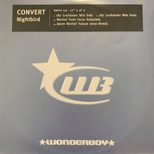 Load image into Gallery viewer, Convert “Nightbird” 4 Version 12inch Vinyl