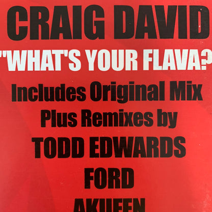 Craig David “Whats Your Flava” 2 x 12inch Double Pack 12inch Vinyl
