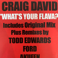 Load image into Gallery viewer, Craig David “Whats Your Flava” 2 x 12inch Double Pack 12inch Vinyl