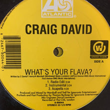 Load image into Gallery viewer, Craig David “Whats Your Flava” 2 x 12inch Double Pack 12inch Vinyl
