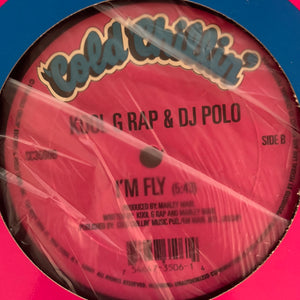 Kool G Rap & DJ Polo “It’s A Demo” / “I’m Fly” 2 Track 12inch Vinyl