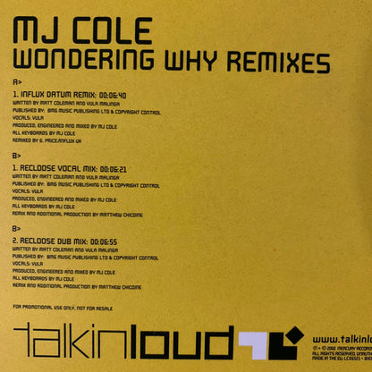 MJ Cole “Wondering Why” The Drum n Bass Remixes 3 Track 12inch Vinyl