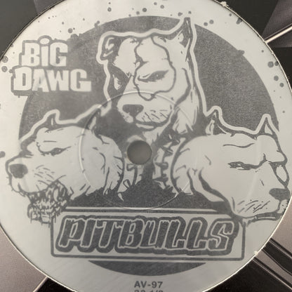 Big Kap & Fat Man Scoop “Party Anthem”