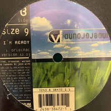 Load image into Gallery viewer, Josh Wink “Size 9” 2 Track 12inch Vinyl