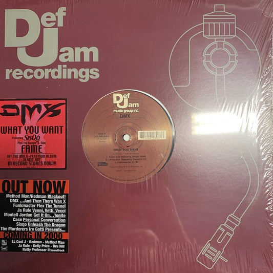 DMX “What You Want” Feat Sisqo