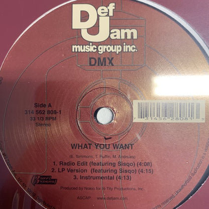 DMX “What You Want” Feat Sisqo