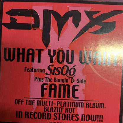 DMX “What You Want” Feat Sisqo