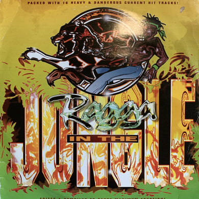 Ragga In The Jungle 16 Track 2 X 12inch Vinyl long player