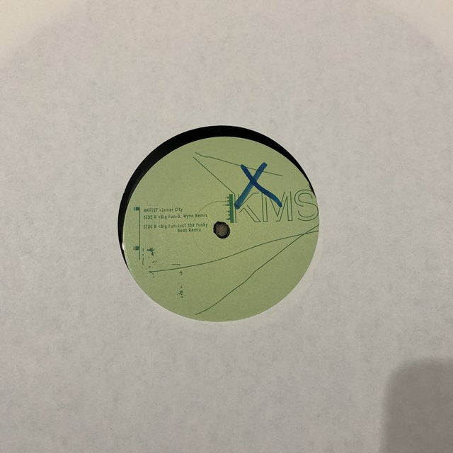 Inner City “Big Fun” D. Wynn Remix