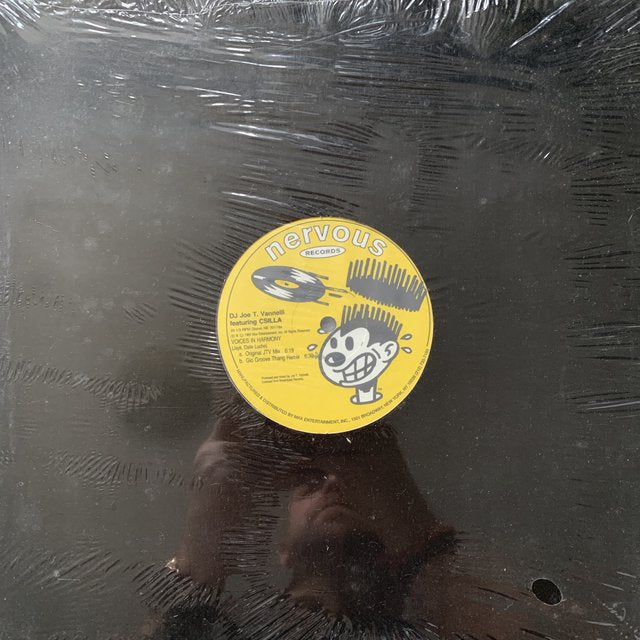 DJ Joe T. Vannelli “Voices in Harmony”