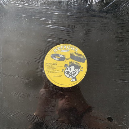 DJ Joe T. Vannelli “Voices in Harmony”