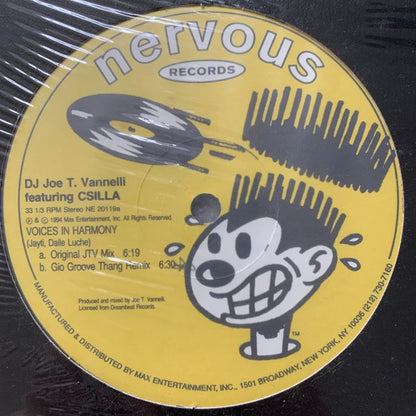 DJ Joe T. Vannelli “Voices in Harmony”