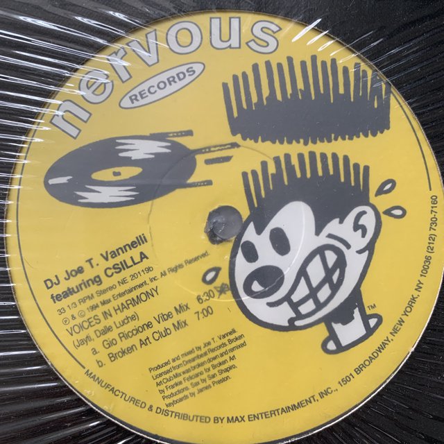 DJ Joe T. Vannelli “Voices in Harmony”