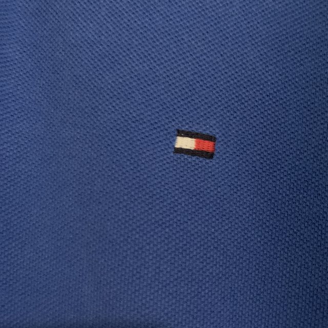 Tommy Hilfiger Light Blue Polo Shirt