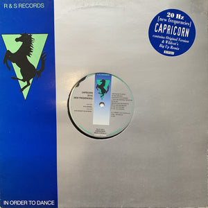 Capricorn “20 HZ” 2 Version 12inch Vinyl Single on R&S